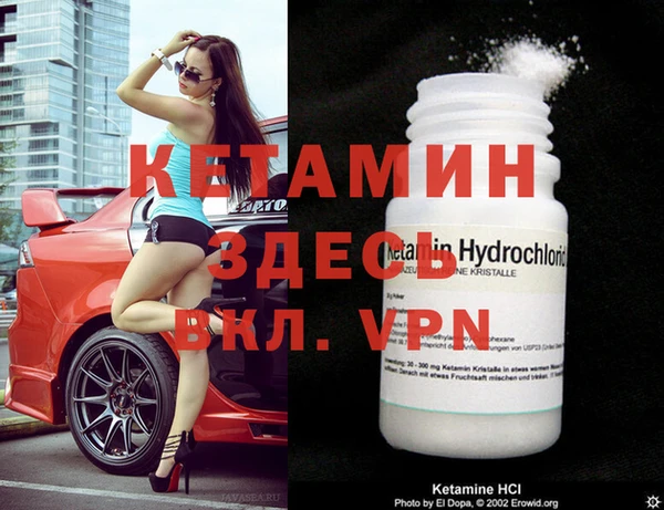 дмт Богданович