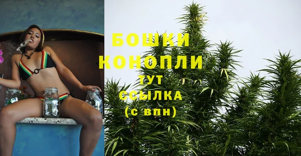 ГАЛЛЮЦИНОГЕННЫЕ ГРИБЫ Богородицк