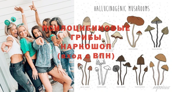 ГАЛЛЮЦИНОГЕННЫЕ ГРИБЫ Богородицк