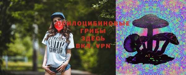 ПСИЛОЦИБИНОВЫЕ ГРИБЫ Беломорск