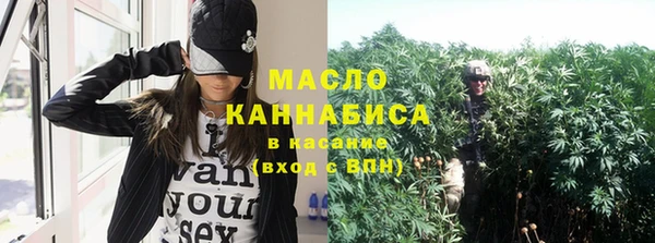дмт Богданович