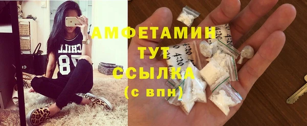 дмт Богданович