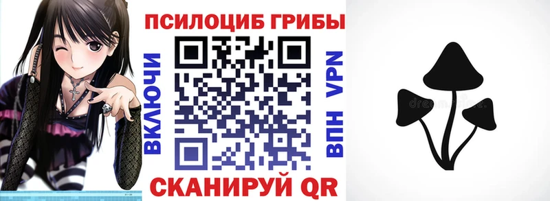 мега рабочий сайт  Светлогорск  Псилоцибиновые грибы мицелий 